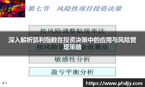 深入解析凯利指数在投资决策中的应用与风险管理策略